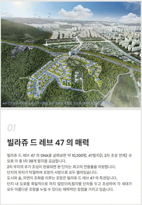 프리미엄 이미지
