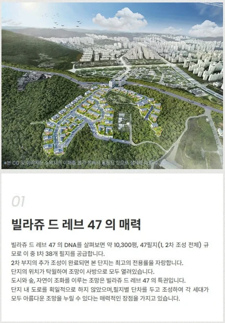 프리미엄 이미지